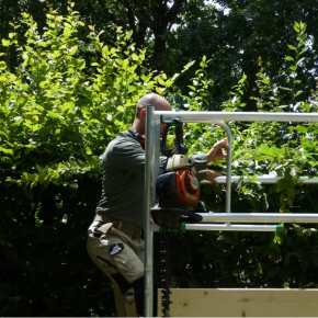 Espaces verts , travail en hauteur
